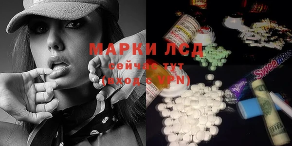 шишки Бронницы