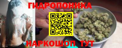 МДПВ Ливны