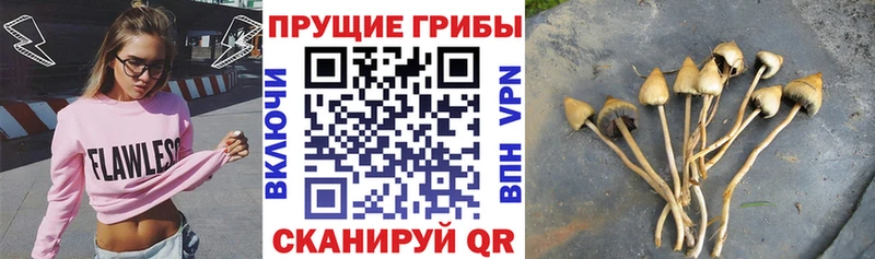 как найти закладки  Воскресенск  Псилоцибиновые грибы прущие грибы 