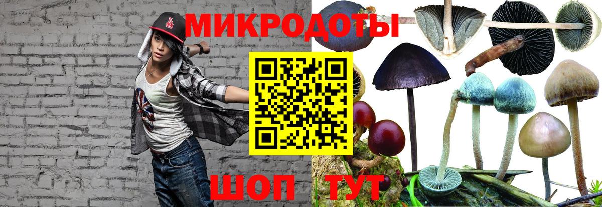 Галлюциногенные грибы MAGIC MUSHROOMS  Вход с VPN  Воскресенск 
